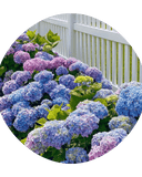 Butteez - Customizable - ID YRmoU9cWZMcIQuj-F0ONpdQ4